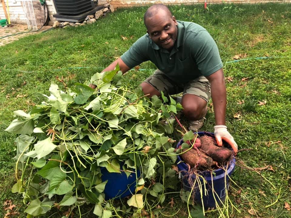 Services Backa Yard Garden