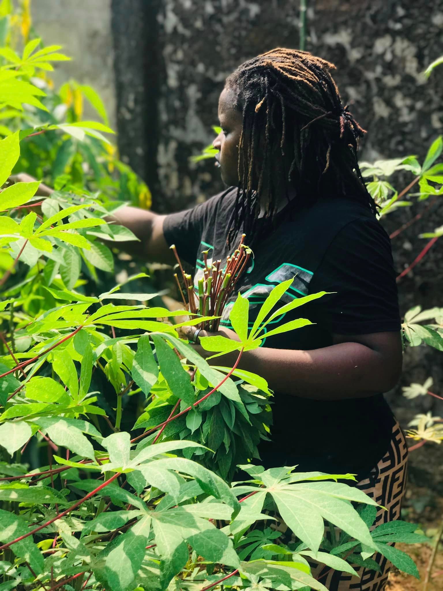 About Us Backa Yard Garden